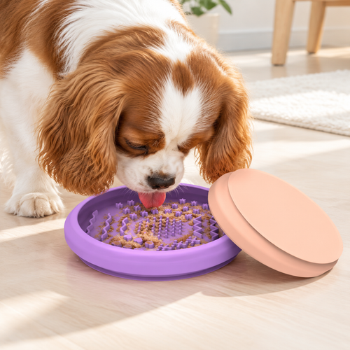Dog using a silicone slow feeder lick bowl
